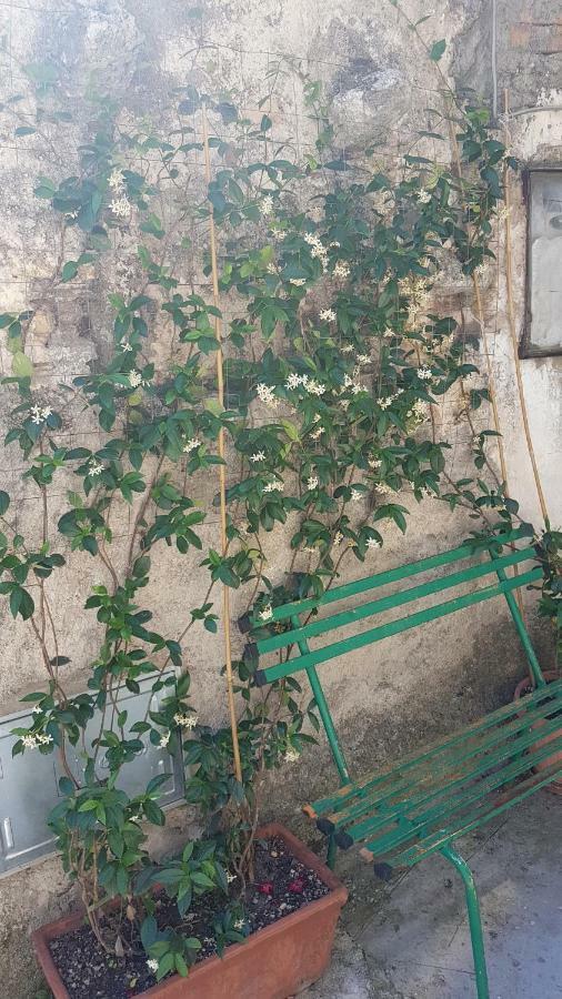 Ferienwohnung La Casetta Del Pellegrino Poggio Bustone Exterior foto